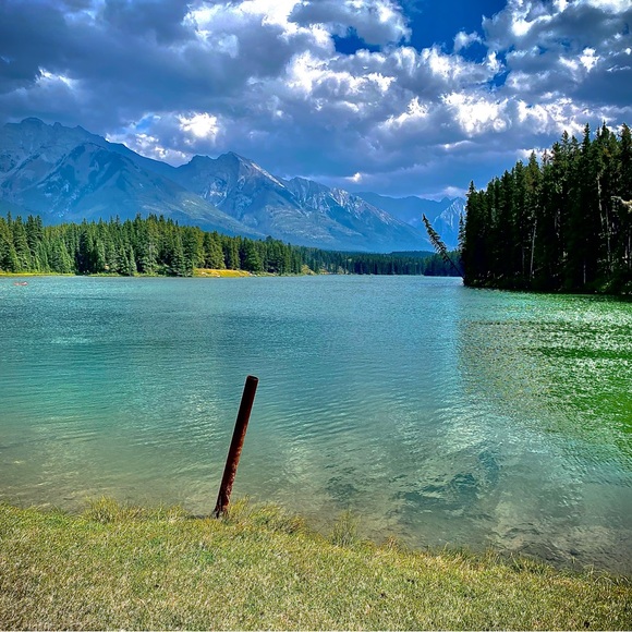 Meet your Posher, Norah - Picture 6 of 13